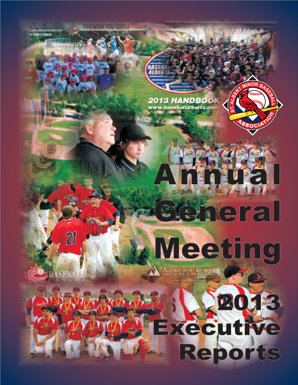 2013 Executive Reports