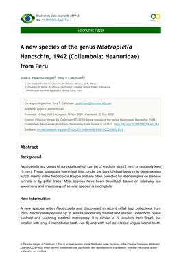 Collembola: Neanuridae) from Peru