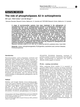 The Role of Phospholipases A2 in Schizophrenia