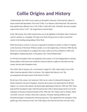 Collie Origins and History