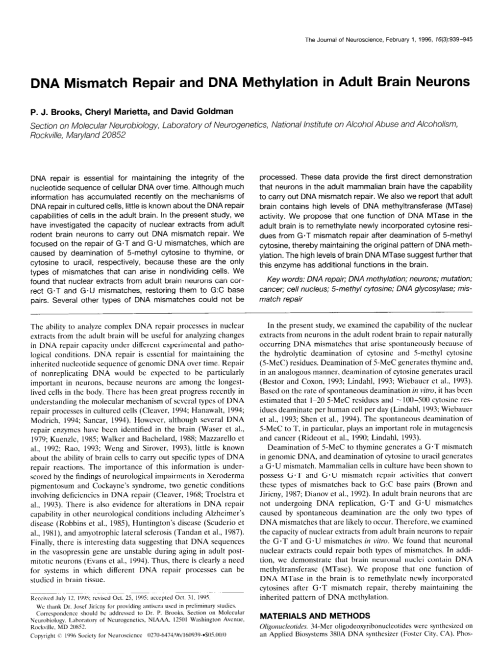 DNA Mismatch Repair and DNA Methylation in Adult Brain Neurons