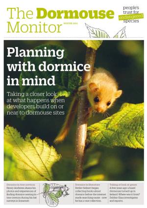 Planning with Dormice in Mind Taking a Closer Look at What Happens When Developers Build on Or Near to Dormouse Sites