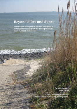 Beyond Dikes and Dunes