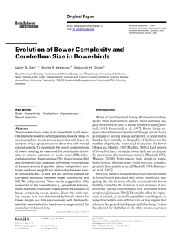 Evolution of Bower Complexity and Cerebellum Size in Bowerbirds