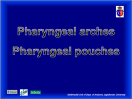 Pharyngeal Arches. Pharyngeal Pouches
