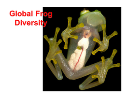 Global Frog Diversity General Visible Characteristics