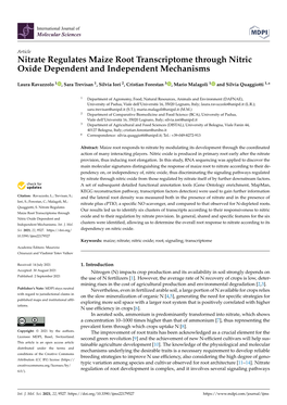 Nitrate Regulates Maize Root Transcriptome Through Nitric Oxide Dependent and Independent Mechanisms