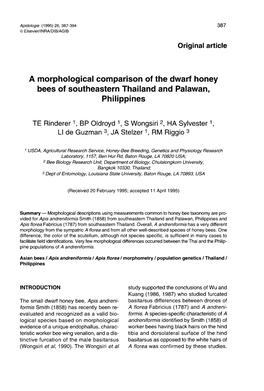 A Morphological Comparison of the Dwarf Honey Philippines