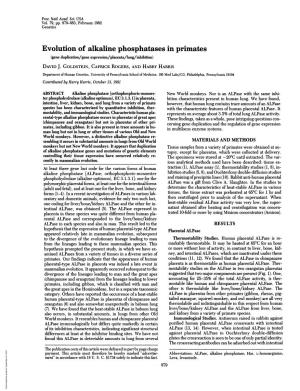 Evolution of Alkaline Phosphatases in Primates (Gene Duplication/Gene Expression/Placenta/Lung/Inhibition) DAVID J