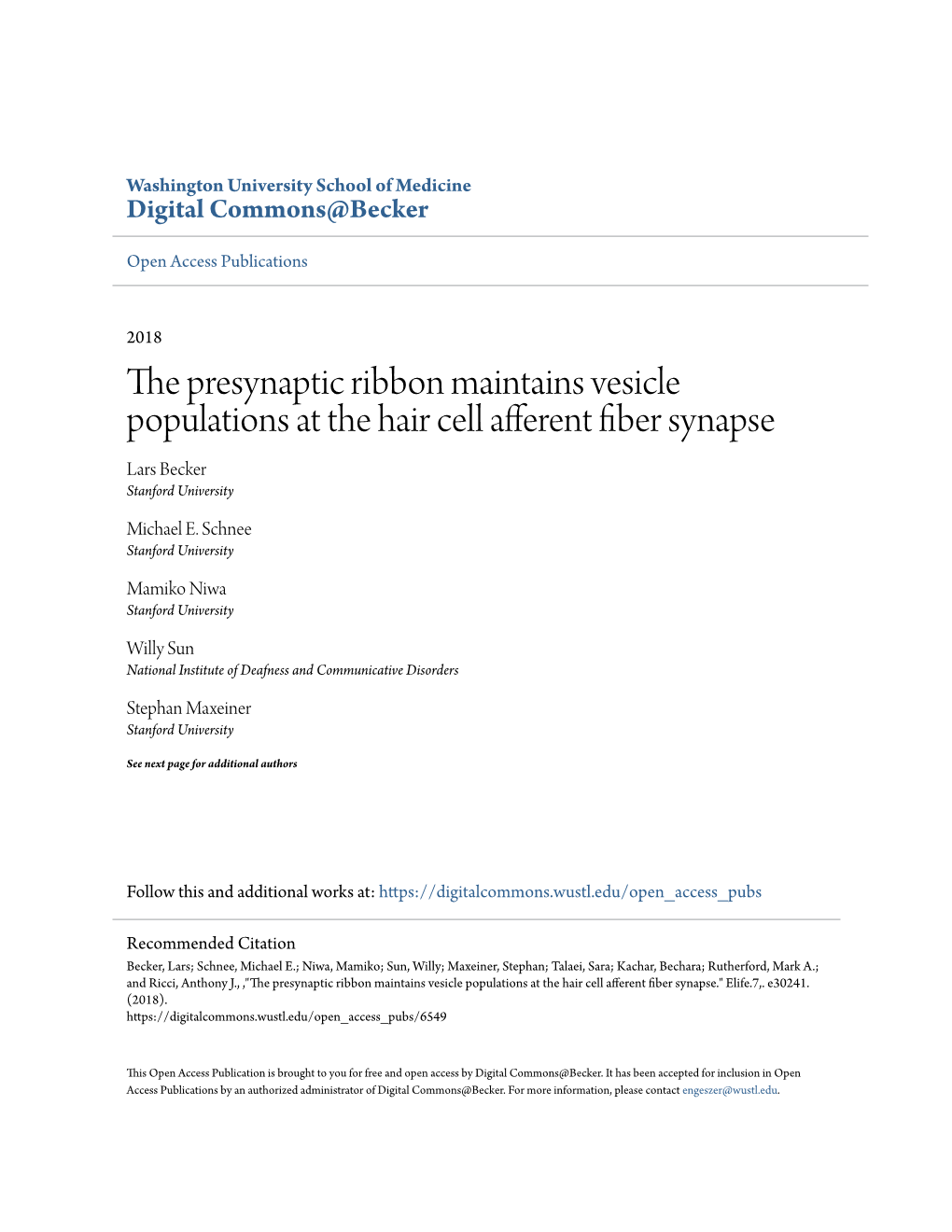 The Presynaptic Ribbon Maintains Vesicle Populations at the Hair Cell Afferent Fiber Synapse Lars Becker Stanford University