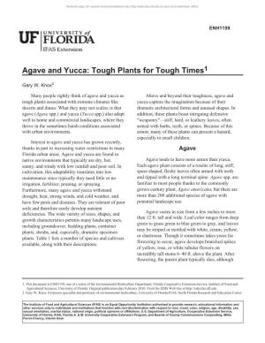 Agave and Yucca: Tough Plants for Tough Times1