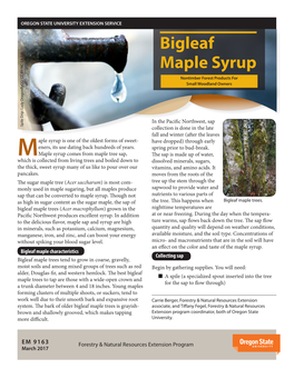 Bigleaf Maple Syrup Nontimber Forest Products for Small Woodland Owners