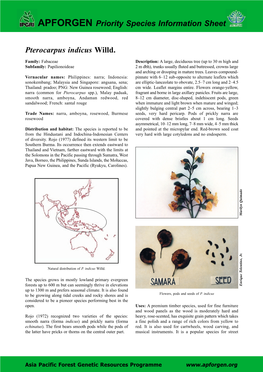 Pterocarpus Indicus Willd. APFORGEN Priority Species