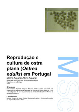 Reprodução E Cultura De Ostra Plana (Ostrea Edulis) Em Portugal Marco António Alves Amaral Mestrado Em Recursos Biológicos Aquáticos Departamento De Biologia 2018