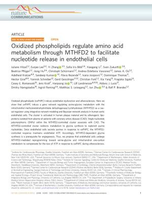 Oxidized Phospholipids Regulate Amino Acid Metabolism Through MTHFD2 to Facilitate Nucleotide Release in Endothelial Cells