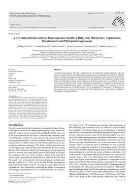 A Lynx Natural Brain Endocast from Ingarano (Southern Italy; Late Pleistocene): Taphonomic, Morphometric and Phylogenetic Approaches