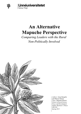 An Alternative Mapuche Perspective
