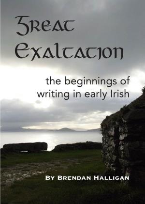 The Beginnings of Writing in Early Irish