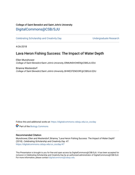 Lava Heron Fishing Success: the Impact of Water Depth