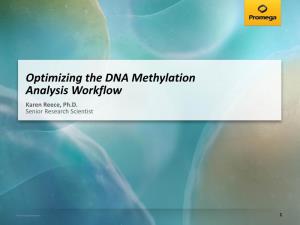 Optimizing the DNA Methylation Analysis Workflow Karen Reece, Ph.D