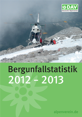 DAV-Bergunfallstatistik 2012–2013