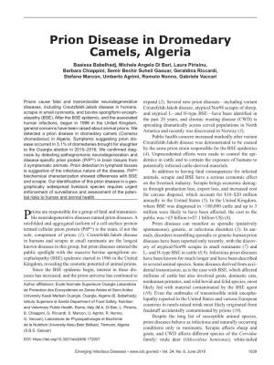 Prion Disease in Dromedary Camels, Algeria