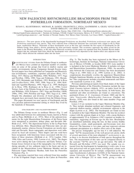 New Paleocene Rhynchonellide Brachiopods from the Potrerillos Formation, Northeast Mexico