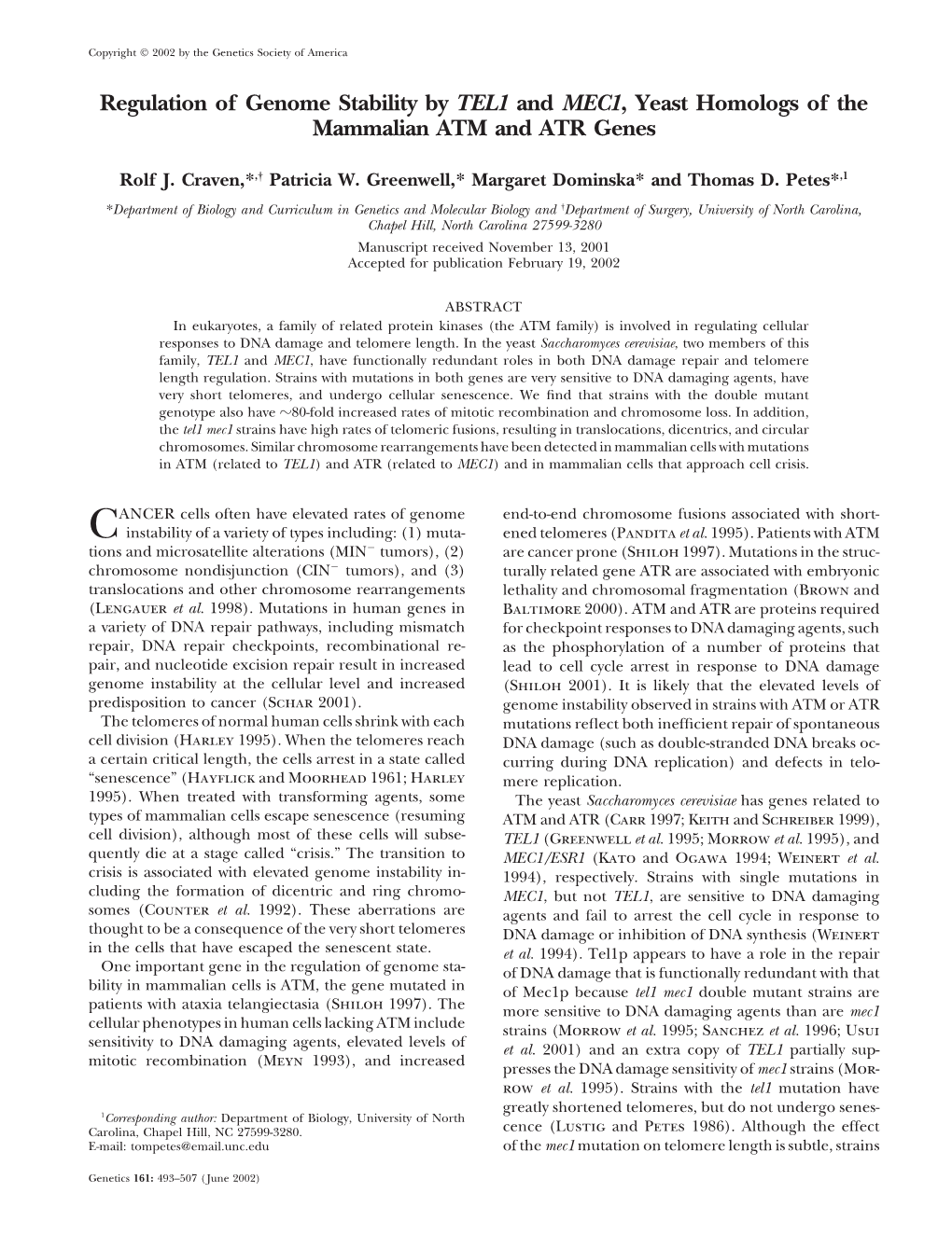 Regulation of Genome Stability by TEL1 and MEC1, Yeast Homologs of the Mammalian ATM and ATR Genes