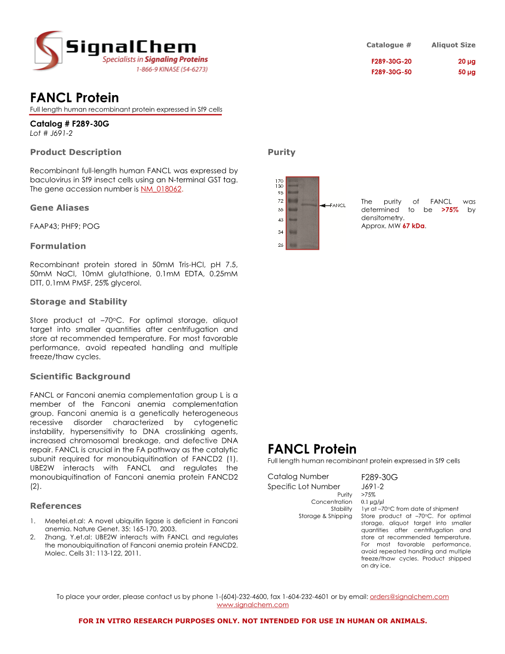 FANCL Protein FANCL Protein