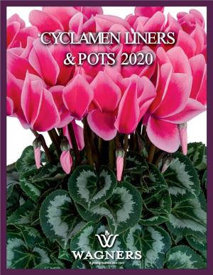 Cyclamen Liners & Pots 2020