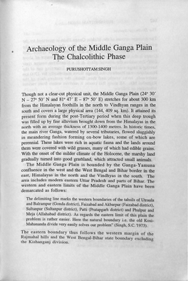 Archaeology of the Middle Ganga Plain the Chalcolithic Phase ' PURUSHOTTAM SINGH