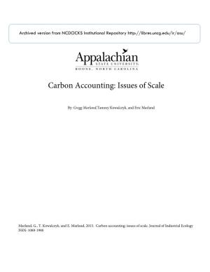 Carbon Accounting: Issues of Scale