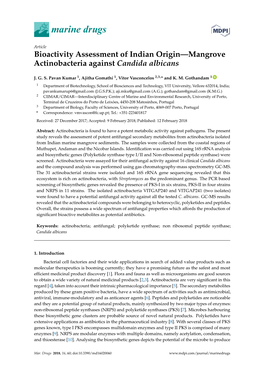 Bioactivity Assessment of Indian Origin—Mangrove Actinobacteria Against Candida Albicans