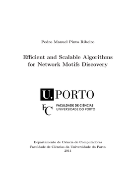 Efficient and Scalable Algorithms for Network Motifs Discovery