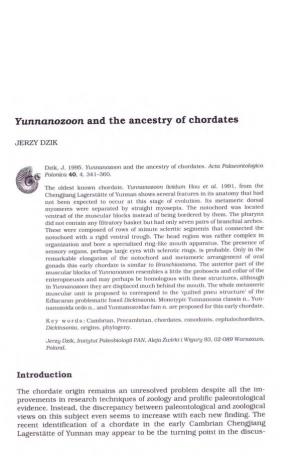 Yunnantozoon and the Ancestry of Chordates
