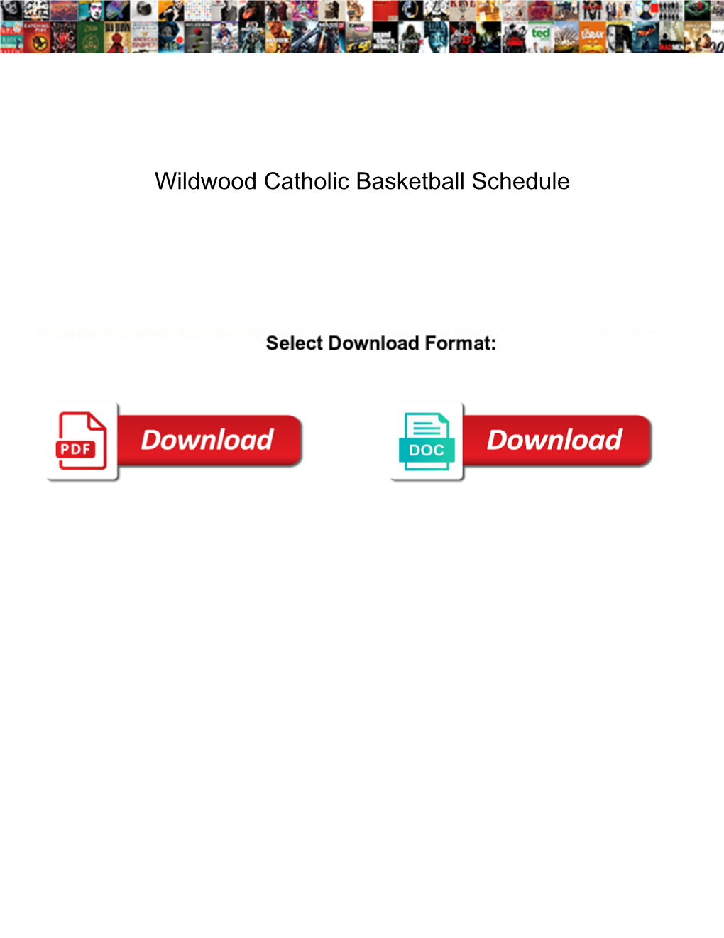 Wildwood Catholic Basketball Schedule