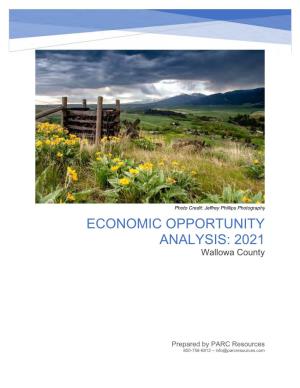 ECONOMIC OPPORTUNITY ANALYSIS: 2021 Wallowa County
