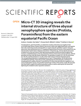 Micro-CT 3D Imaging Reveals the Internal Structure of Three Abyssal