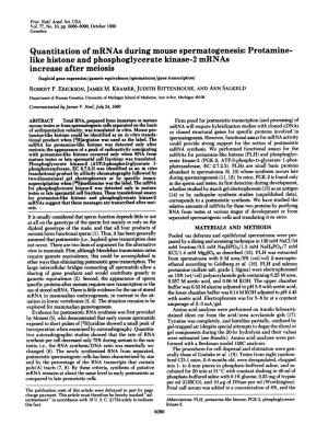 Quantitation Ofmrnas During Mouse Spermatogenesis: Protamine- Like Histone and Phosphoglycerate Kinase-2 Mrnas Increase After Me