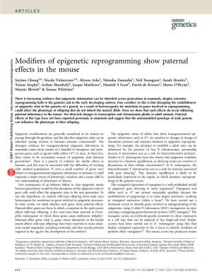 Modifiers of Epigenetic Reprogramming Show Paternal