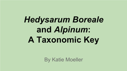 Hedysarum Boreale and Alpinum: a Taxonomic Key