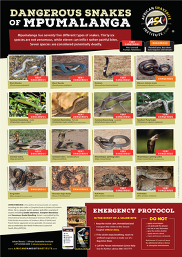 MPUMALANGA Mpumalanga Has Seventy Five Different Types of Snakes