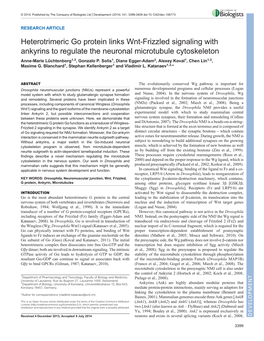 Heterotrimeric Go Protein Links Wnt-Frizzled Signaling with Ankyrins to Regulate the Neuronal Microtubule Cytoskeleton Anne-Marie Lüchtenborg1,2, Gonzalo P