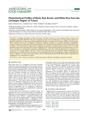 Phytochemical Profiles of Black, Red, Brown, and White Rice from The