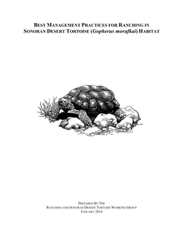 BEST MANAGEMENT PRACTICES for RANCHING in SONORAN DESERT TORTOISE (Gopherus Morafkai) HABITAT