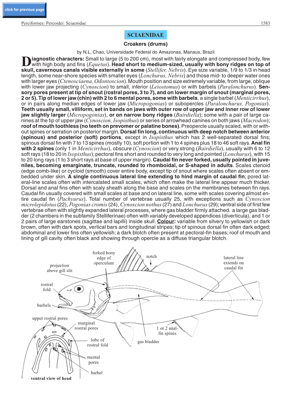 Sciaenidae 1583