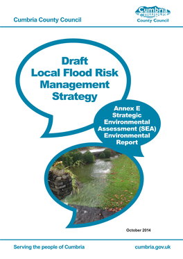 Draft Local Flood Risk Management Strategy Annex E Strategic Environmental Assessment (SEA) Environmental Report