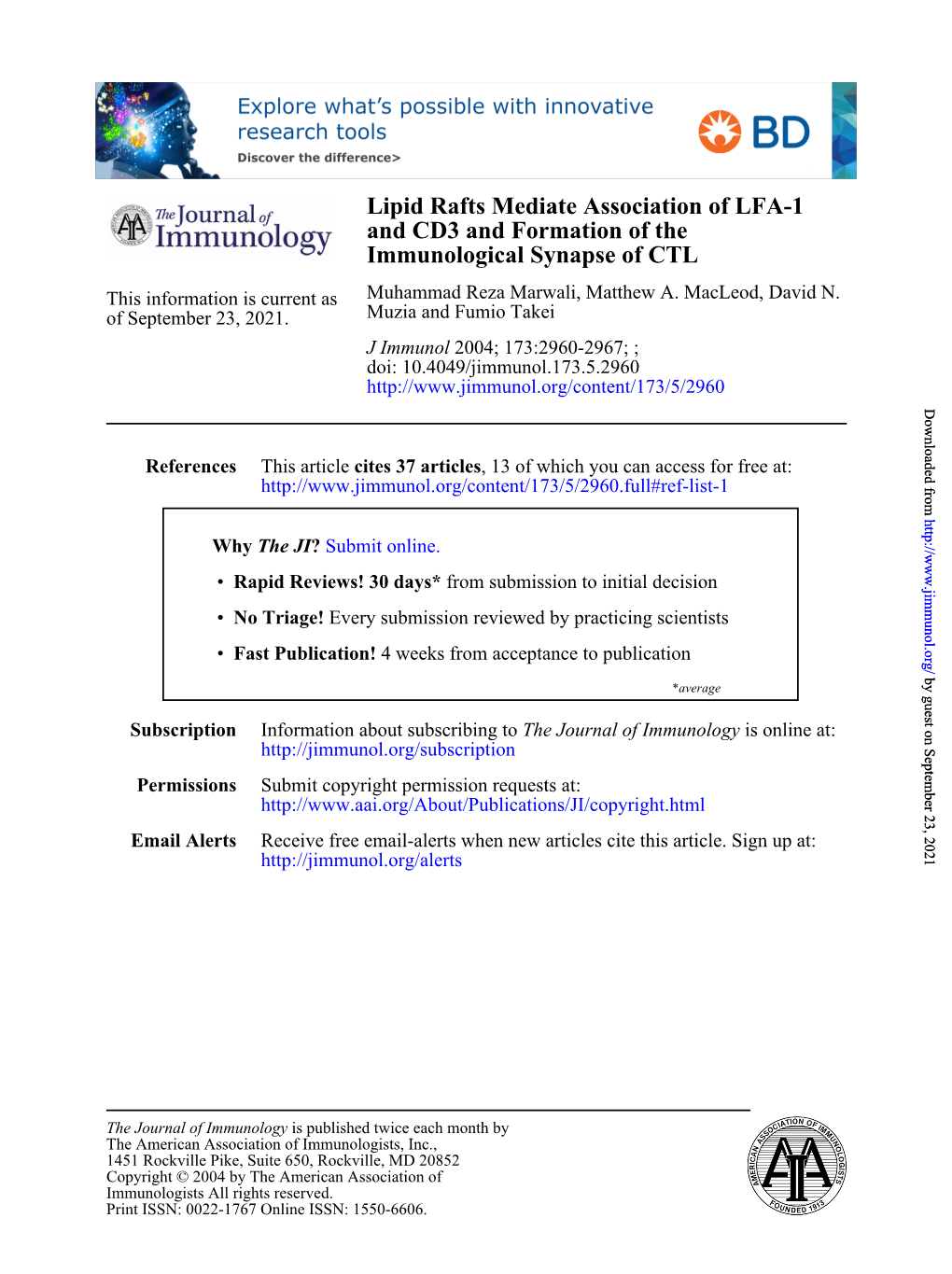 Immunological Synapse of CTL and CD3