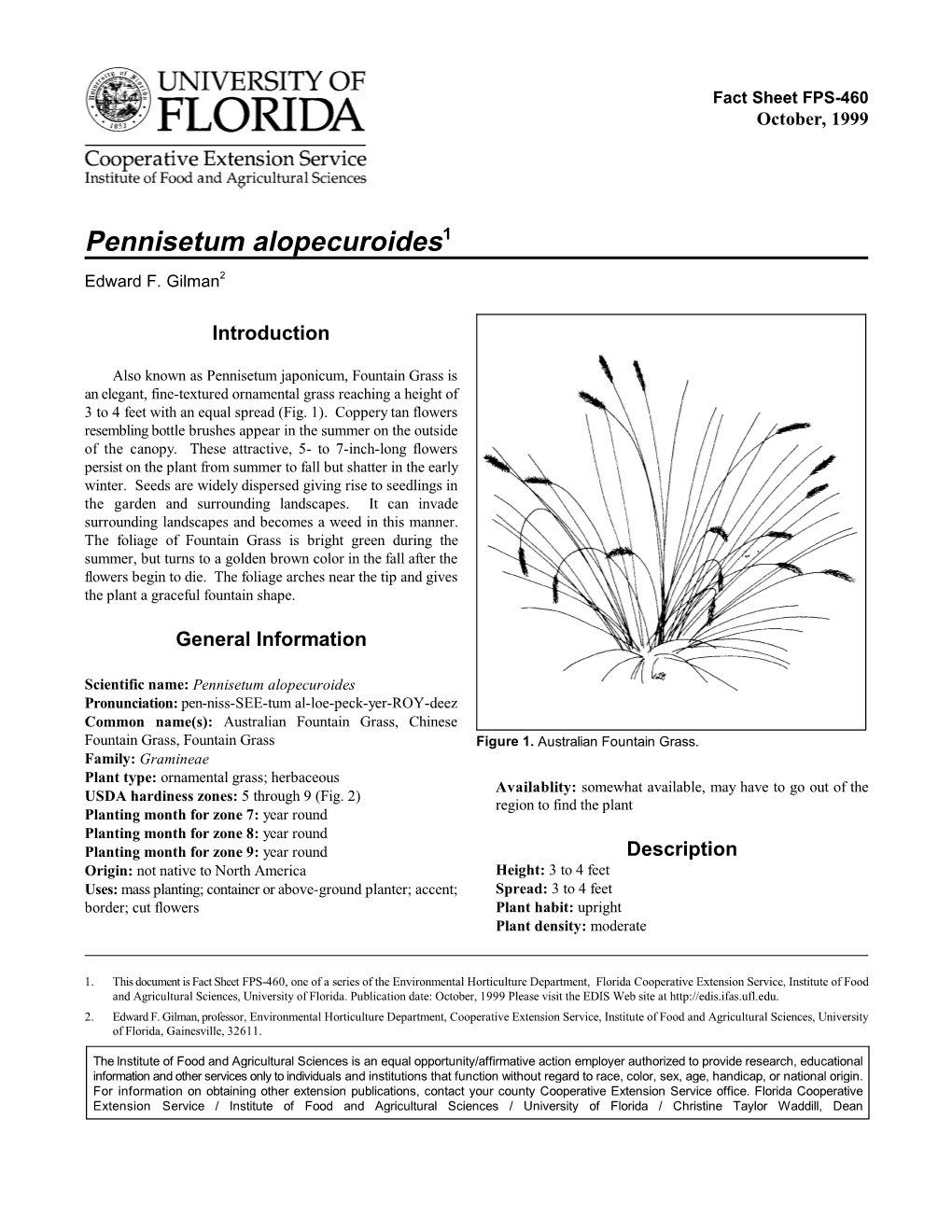 Pennisetum Alopecuroides1