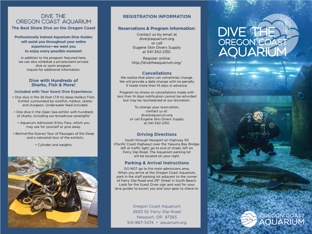 Dive the Aquarium